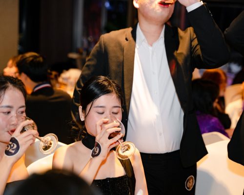 483552252_938462268495597_5318547285178185073_n